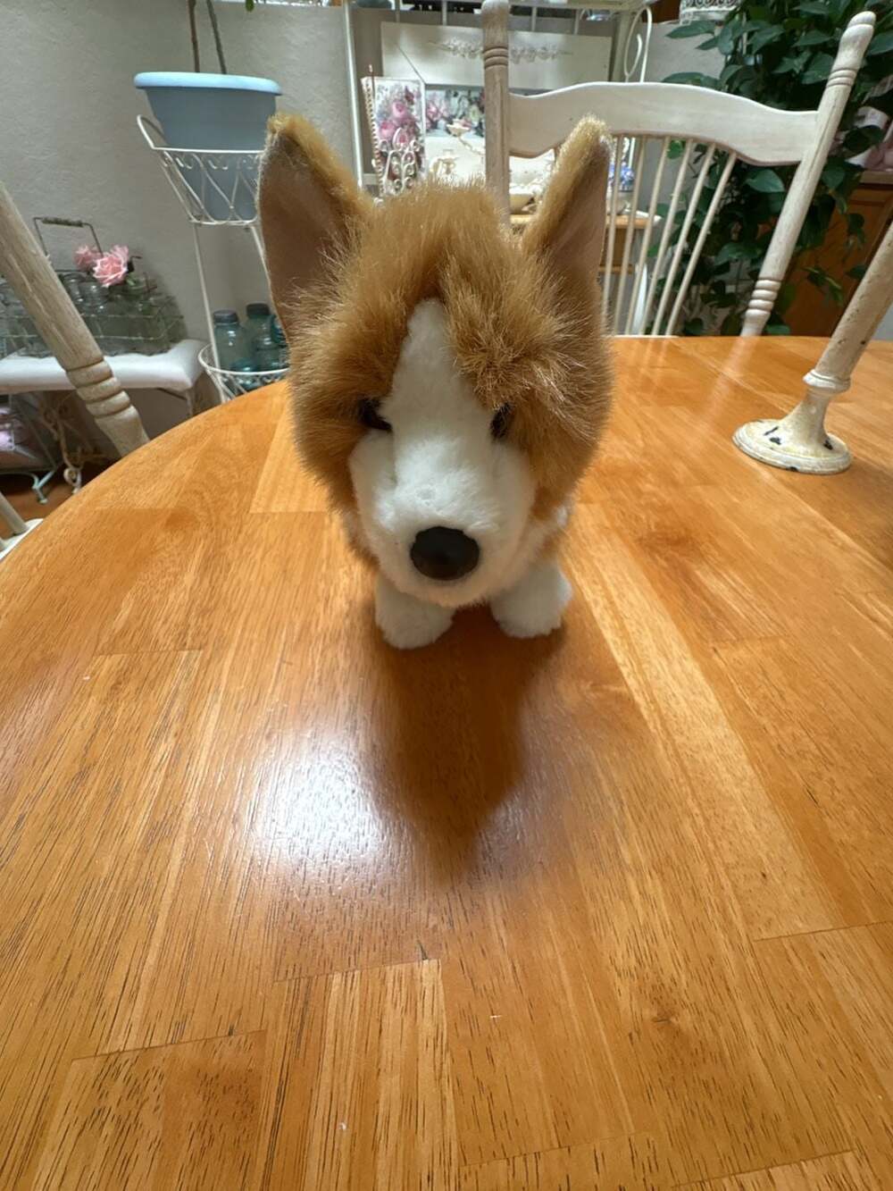 Douglas Louie Corgi Plush Toy Stuffed Animal #1713
